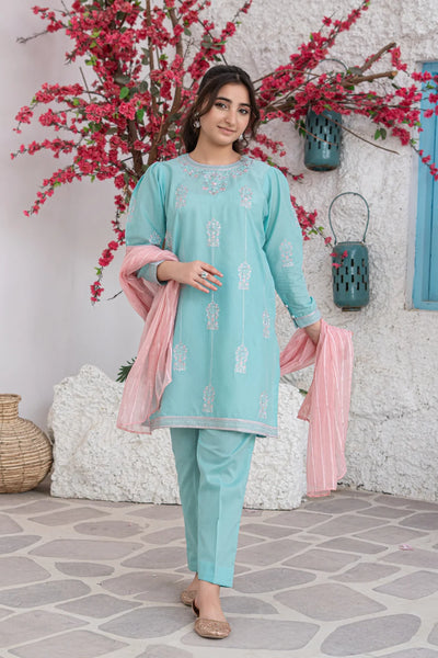 Embroidered Cotton Suit - T-SFC-S26-007
