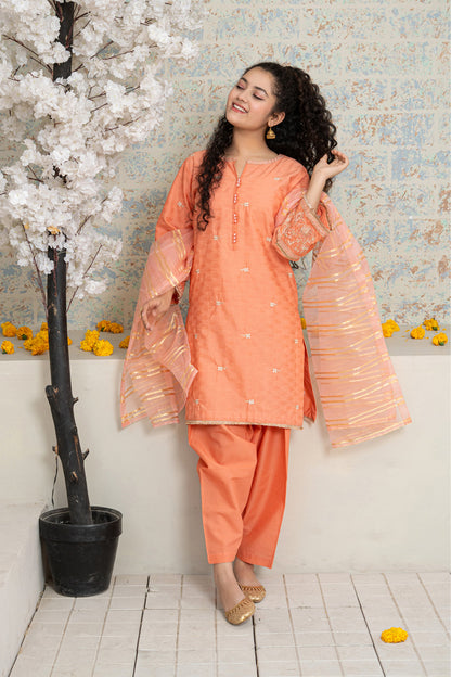 3 Piece Suit Embroidered Shirt with Shalwar T-SFC-D-032