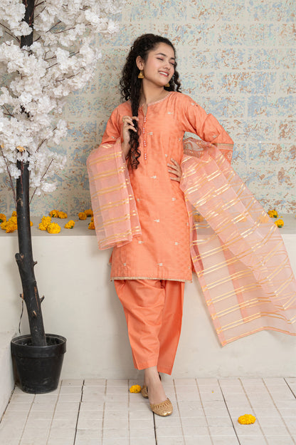 3 Piece Suit Embroidered Shirt with Shalwar T-SFC-D-032