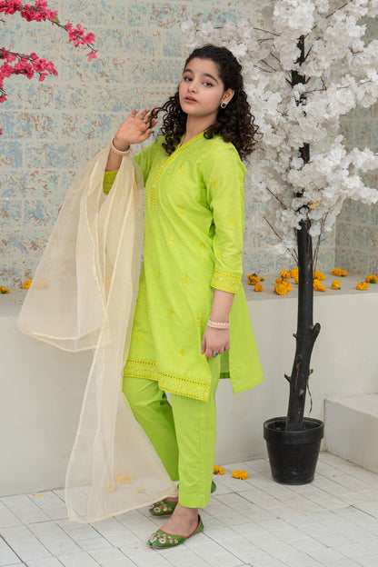 3 Piece Embroidered Dress Shirt with Trouser T-SFC-D-030