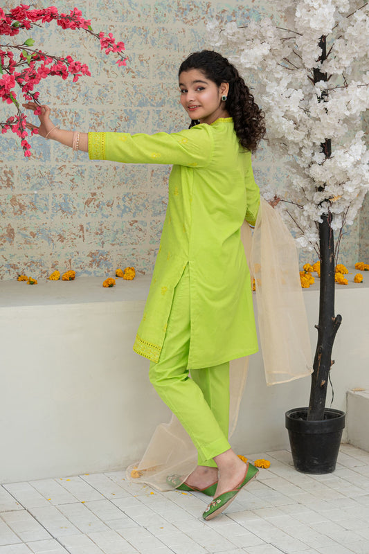 3 Piece Embroidered Dress Shirt with Trouser T-SFC-D-030