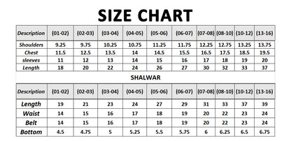 2 Piece Suit Digital Printed Lawn ALPRTW-004