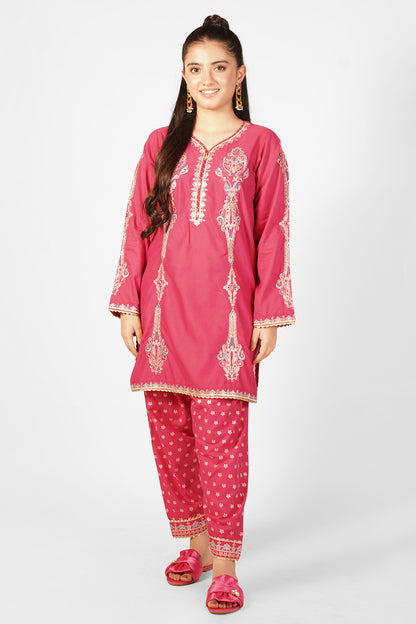 2 Piece Embroidered Suit SFC-198