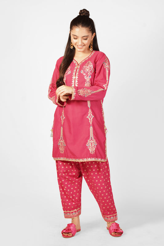 2 Piece Embroidered Suit SFC-198