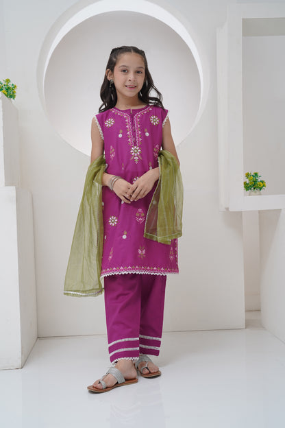 3 Piece Embroidered Suit GS-EMB-002