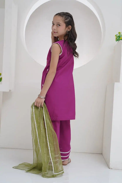 3 Piece Embroidered Suit GS-EMB-002