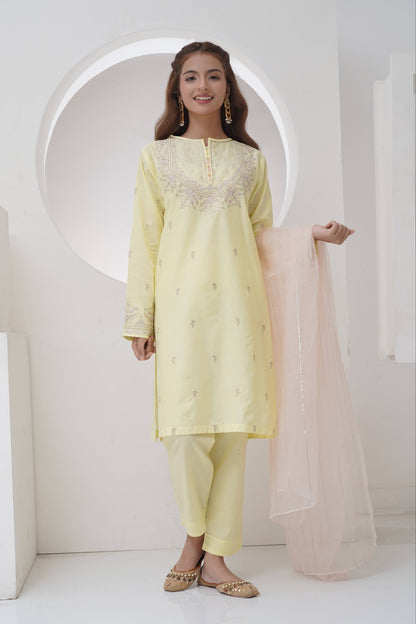 3 Piece Embroidered Suit with Organza Dupatta R-T-SFC-006