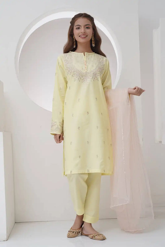 3 Piece Embroidered Suit with Organza Dupatta R-T-SFC-006