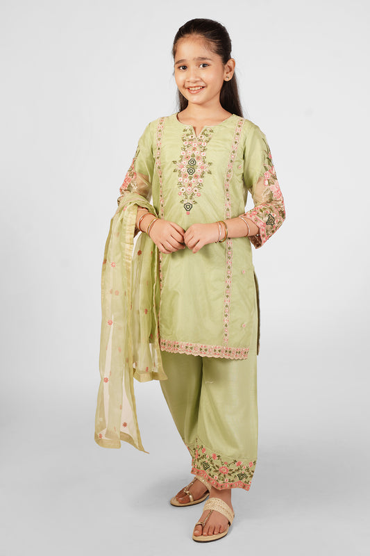 3PCS Embroidered Suit In Greenish Beige SKU: RTWFDS-007