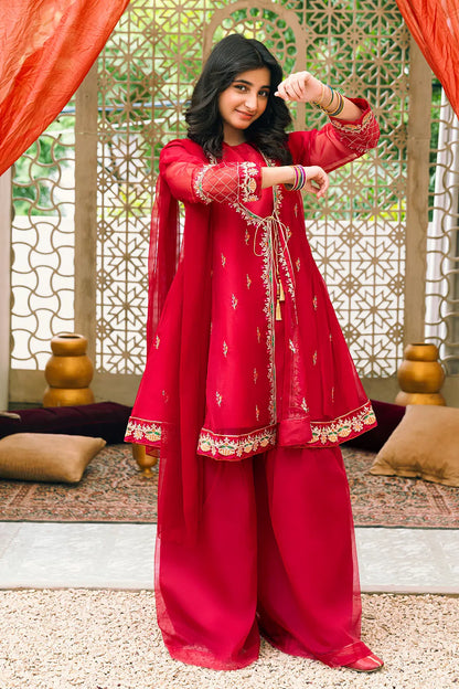 3 Piece Embroidered Dress Angrakha Style RTWFDS-014