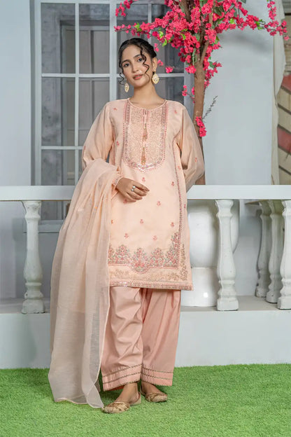 3 Piece Suit Embroidered Indian Zari Organza T-FORT-006