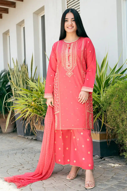 3 Piece Suit Red Embroidered Dress T-SFC-028
